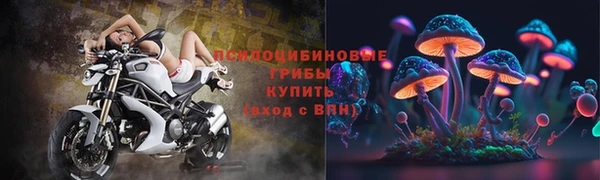 скорость Алзамай