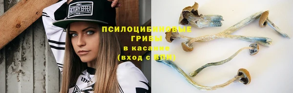 скорость Алзамай