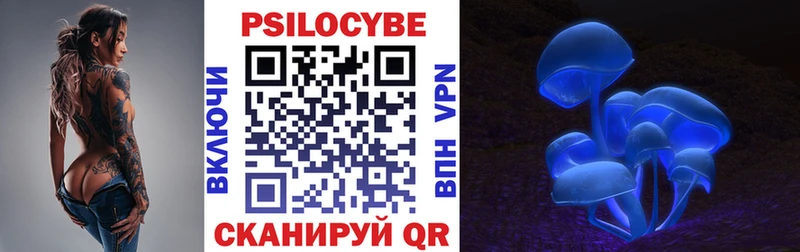 гидра онион  наркота  Нижние Серги  Псилоцибиновые грибы Cubensis 